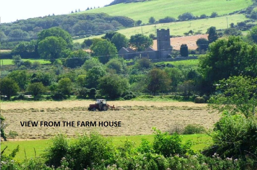 Wonderful Setting Farmhouse Apartment Wicklow Ngoại thất bức ảnh