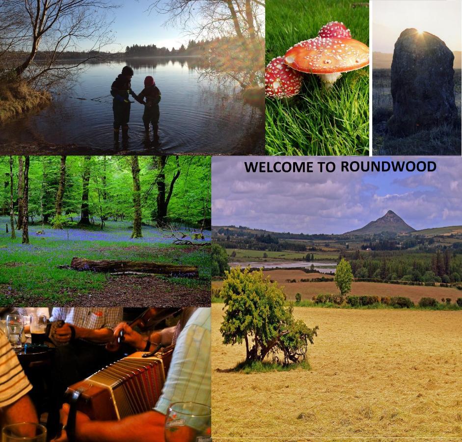 Wonderful Setting Farmhouse Apartment Wicklow Ngoại thất bức ảnh